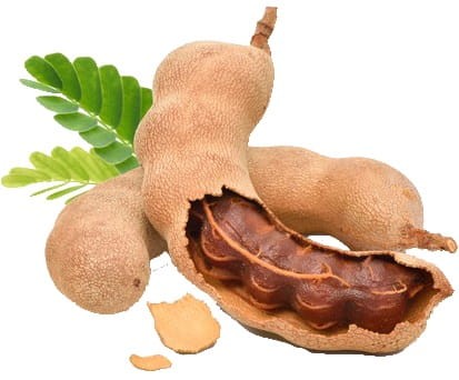 Owoce Tamaryndowca