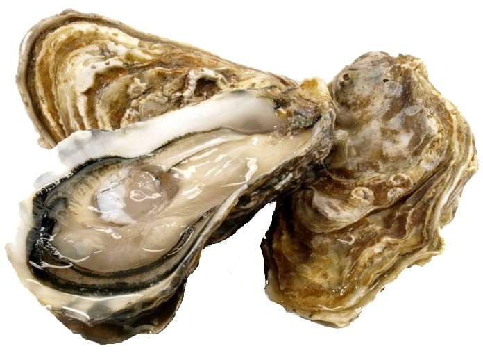 Sos Ostrygowy Gęsty 600ml MAE KRUA