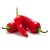 Sos Słodki Chilli Kanister 5 Litrów THAI DANCER