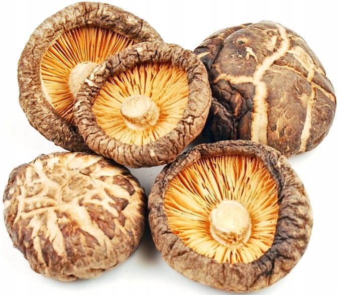 Grzyby Shitake Poku Gastronomiczne 1kg GREEN PAGODA