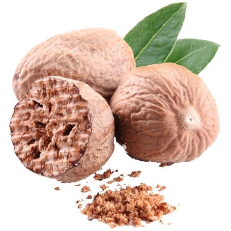 Gałka Muszkatołowa Cała Naturalna Jakość 6 Sztuk SKWORCU