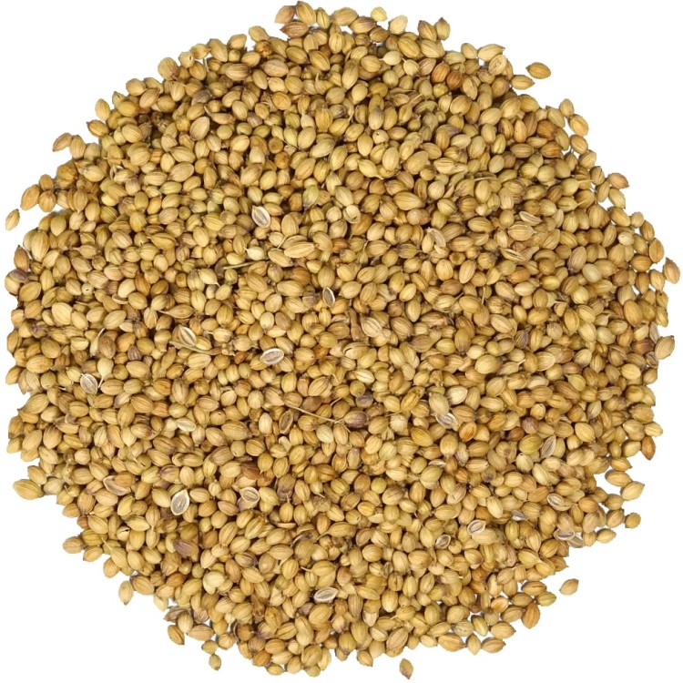 Kolendra Ziarno Nasiona Kolendry Indie 100g SKWORCU