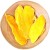 Mango Suszone Plasterki Premium Naturalne Zdrowe 100g SKWORCU