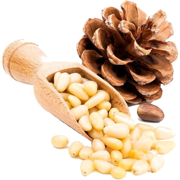 Orzeszki Pini Orzechy Piniowe Pyszne 100g SKWORCU