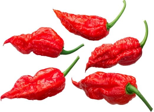 Sos Ghost Pepper SUPER HOT Bez Konserwantów 115g ROLESKI