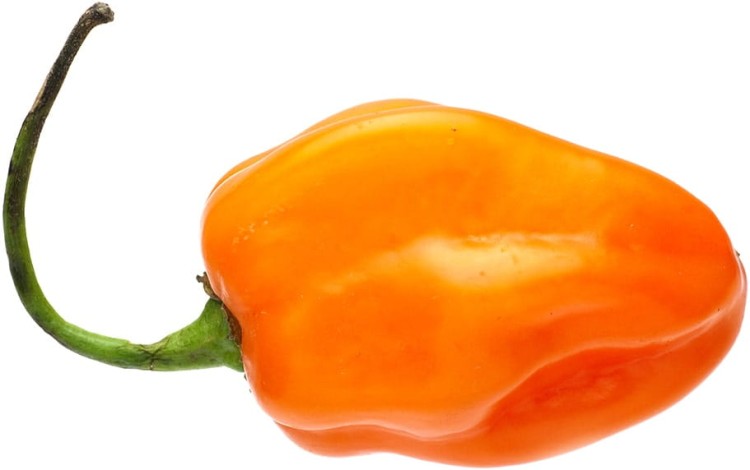 Sos Habanero SUPER HOT Bez Konserwantów 120g ROLESKI