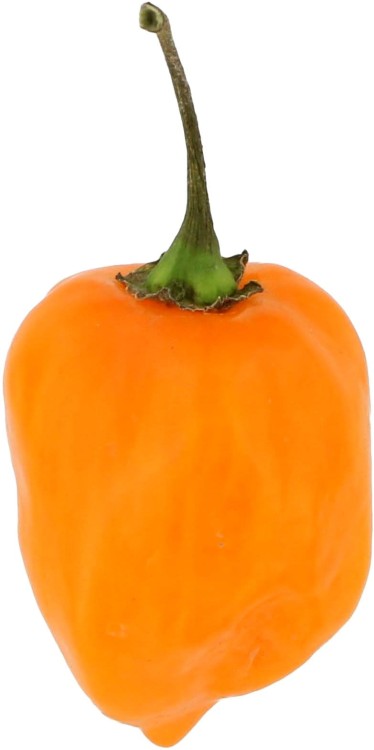 Sos Habanero SUPER HOT Bez Konserwantów 120g ROLESKI