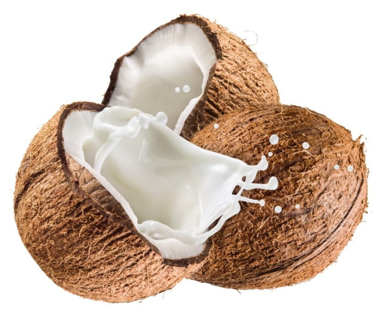 10x Mleko Mleczko Kokosowe 100% Naturalne KARTON 1L KIER