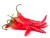 Chilli