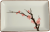 Ceramiczny Biały Talerz Do Serwowania Sushi Kwiaty Sakura 20cm x 13cm EMRO AZIATICA