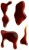 Sos Worcestershire Worcester Korzenny Smak Do Krwawa Mary 220ml YAMAMORI