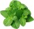 Pasta z Mięty Sos Miętowy Aromatyczna Baza 280g PASCO