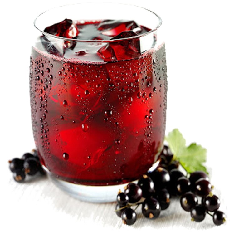 Syrop Koncentrat CZARNA PORZECZKA Blackcurrant BEZ CUKRU 600ml TEISSEIRE