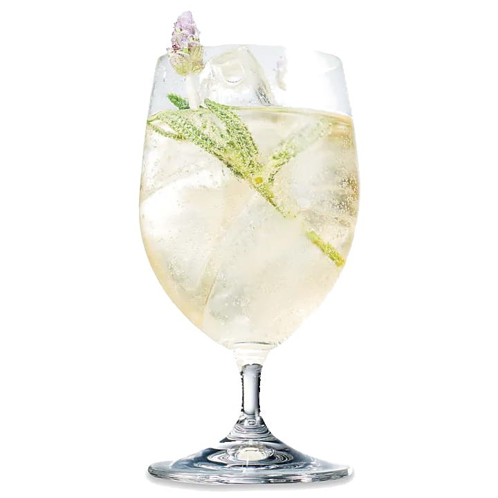 Syrop Koncentrat KWIAT CZARNEGO BZU Elderflower BEZ CUKRU 600ml TEISSEIRE