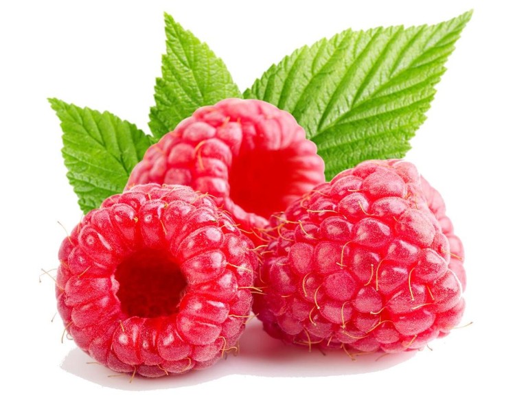 Syrop Koncentrat MALINA ŻURAWINA Raspberry Cranberry BEZ CUKRU 600ml TEISSEIRE