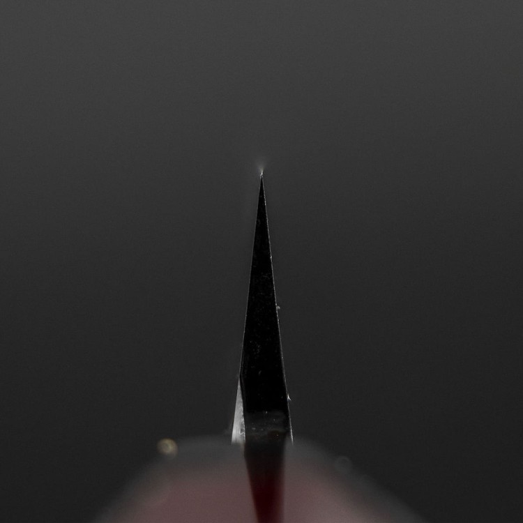 Sakai Takayuki Rinka Silver#3 Japoński Nóż Sakimaru 39 cm