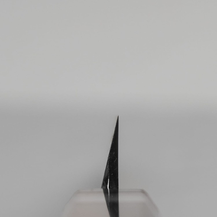 Sakai Takayuki Shiden Silver#3 Japoński Nóż Yanagiba 27 cm