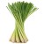 Mielona Trawa Cytrynowa Pasta z Trawy Cytrynowej 120g HOUSE OF ASIA