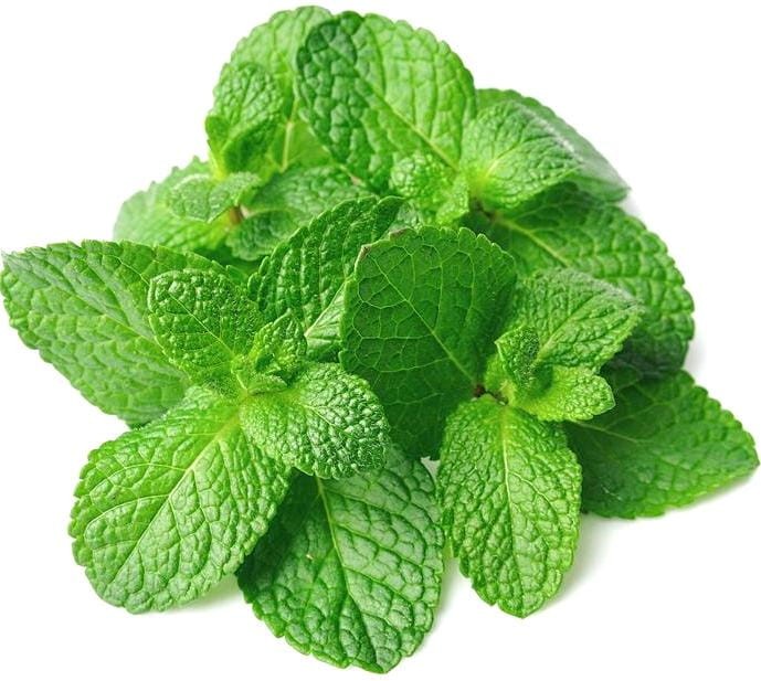 ZESTAW 4 RODZAJE Cukierki Imbirowe Original Cytryna-Mód Mango i Mięta 4x125g GINGERBON