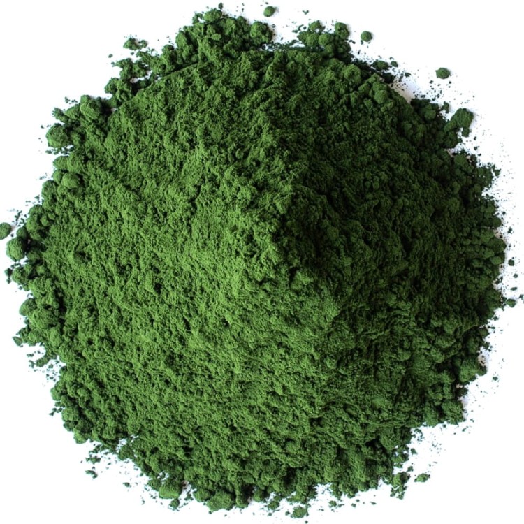 Chlorella w Proszku Algi Morskie 250g TARGROCH