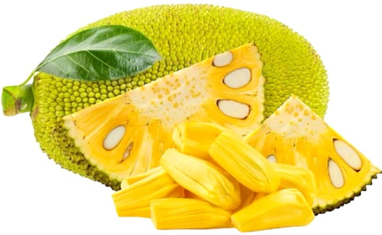 Jackfruit w Słodkiej Zalewie Dżakfrut 565g CHAOKOH