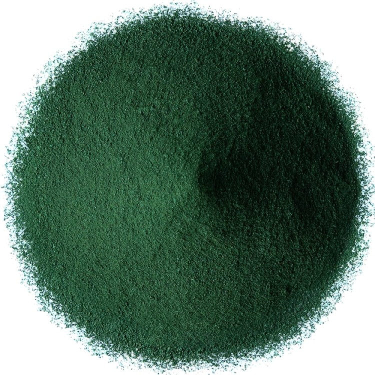 Spirulina w Proszku Algi Morskie 250g TARGROCH