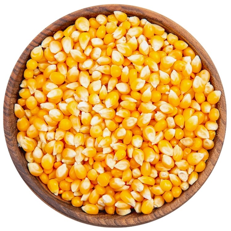 Popcorn Ziarno Kukurydza Do Prażenia 1kg TARGROCH