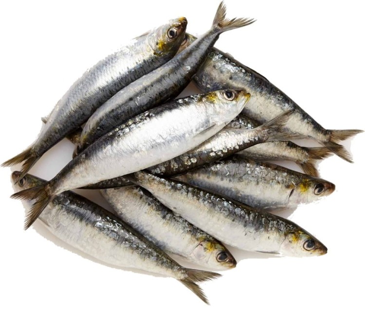 Hiszpańskie Sardynki w Pomidorach 120g KIER