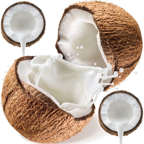 Mleko Mleczko Kokosowe w Proszku Sproszkowane z Miąższu Kokosa 1000g 1kg RENUKA