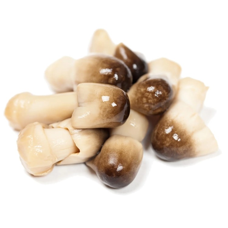 Pędy Bambusa z Grzybami Słomianymi i Yanang 680g THAI DANCER