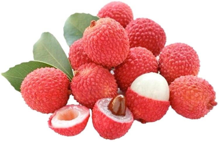Napój Malezyjski z Lychee Jefi 250ml JEFI