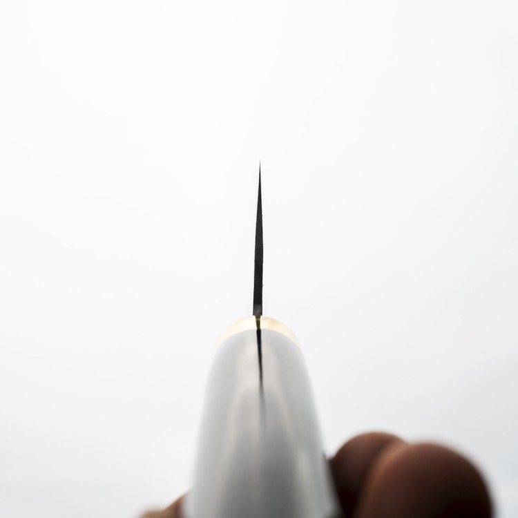 Takeshi Saji Art Fuji On Lake Ręcznie Kuty R-2 Japoński Nóż Kuchenny Szefa Kuchni 21cm + Saya