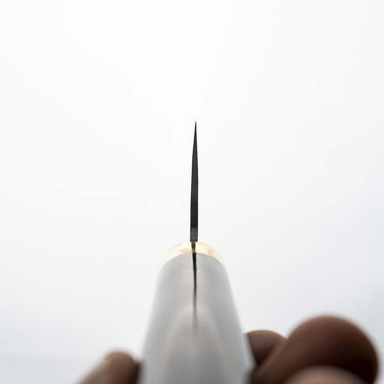 Takeshi Saji Art Tori Fuji On Lake Ręcznie Kuty R-2 Japoński Nóż Kuchenny Szefa Kuchni 21cm + Saya