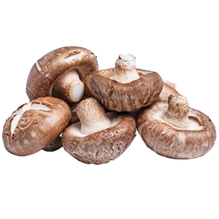 Chińskie Grzyby SHIITAKE Tonko Poku Gotowe w Zalewie Do Woka 284g HOUSE OF ASIA