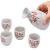 Jasny Ceramiczny Zestaw Komplet Do Podawania Sake SAKURA 5 Elementów GOLDEN TURTLE