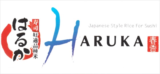 Producent: Haruka (przejdź do produktów)